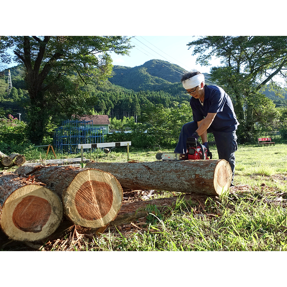 福島県 三県復興 希望のかけ箸（1パック3膳×2） | 飛鳥クルーズ