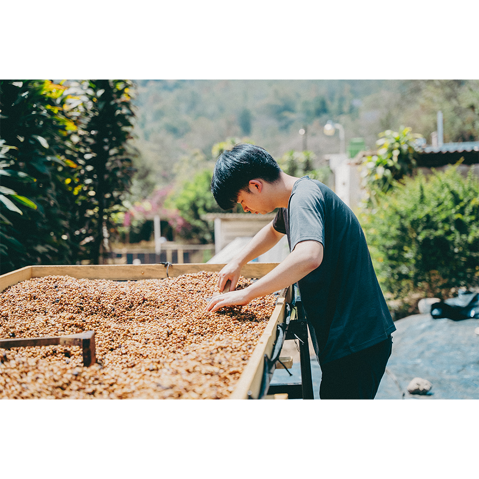 神奈川県 ATSUGI COFFEE FARM ドリップバック5個セット | 飛鳥クルーズ