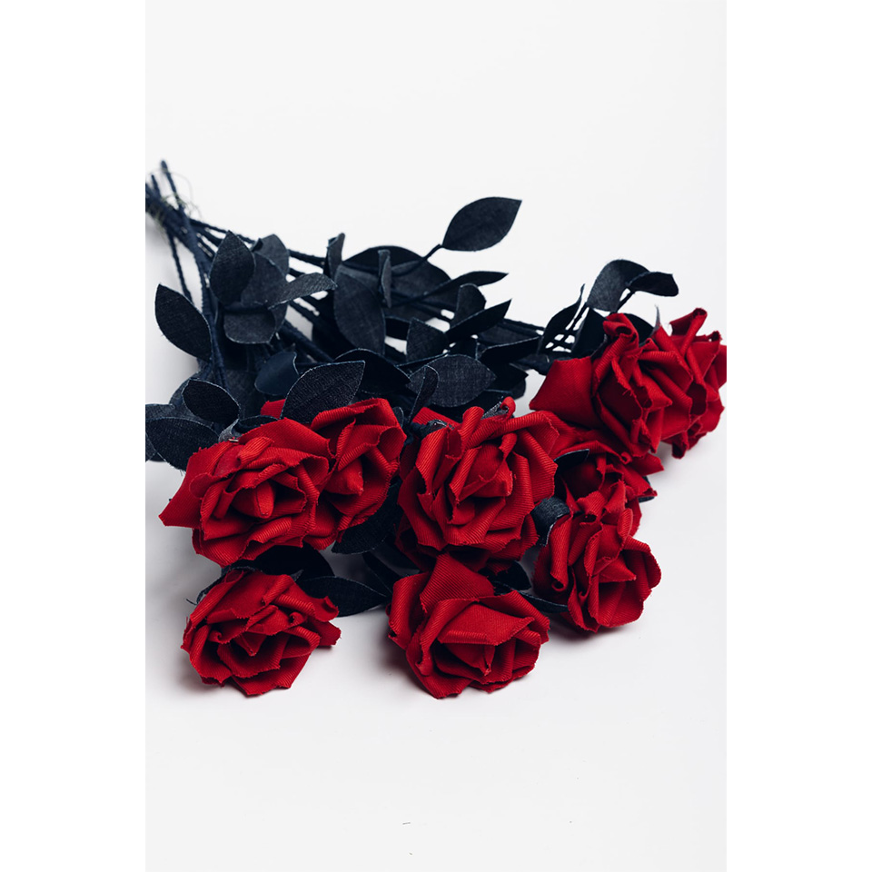 岡山県【DENIM ROSE】 -IBARA / 藍バラ- | 飛鳥クルーズ オンライン