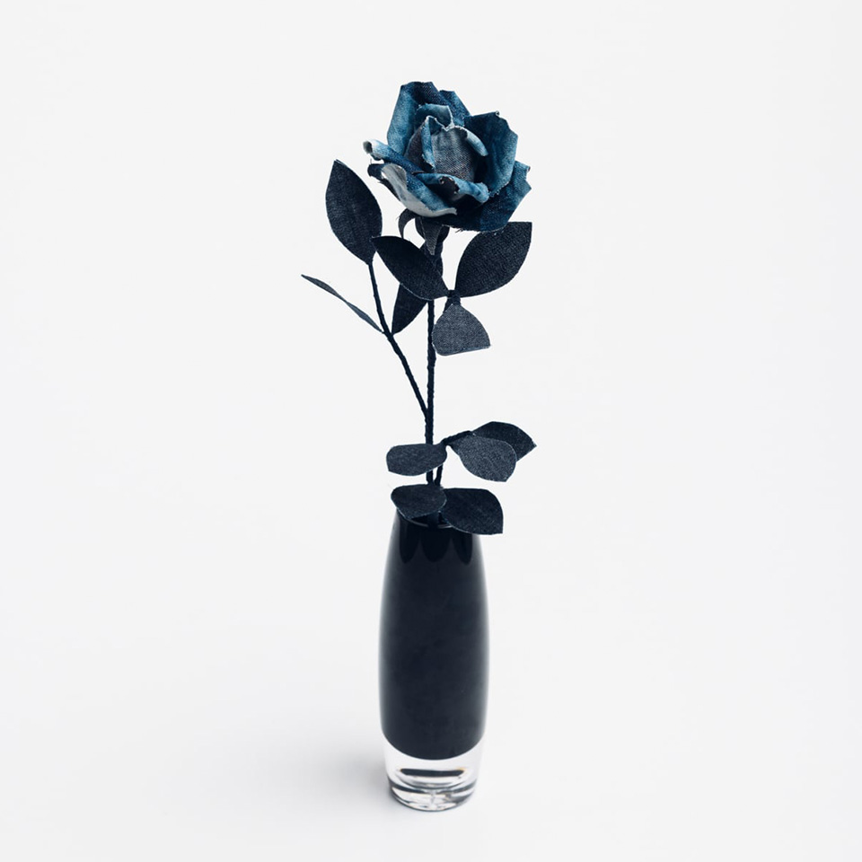 岡山県【DENIM ROSE】 -IBARA / 藍バラ- | 飛鳥クルーズ オンライン