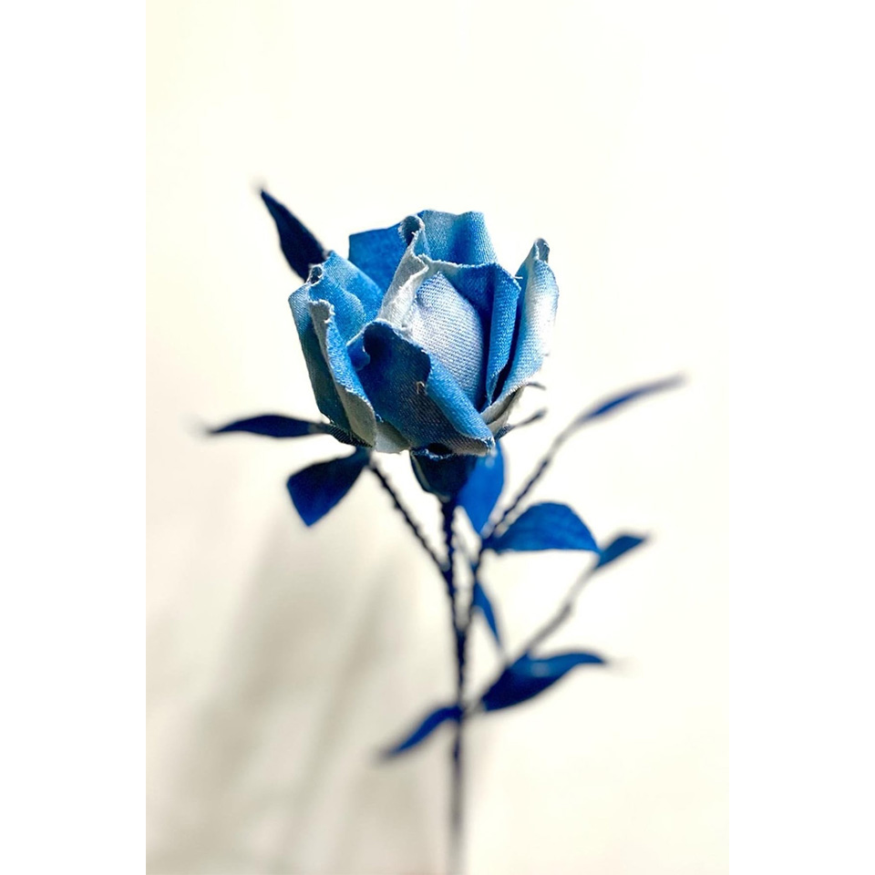 岡山県【DENIM ROSE】 -IBARA / 藍バラ- | 飛鳥クルーズ オンライン