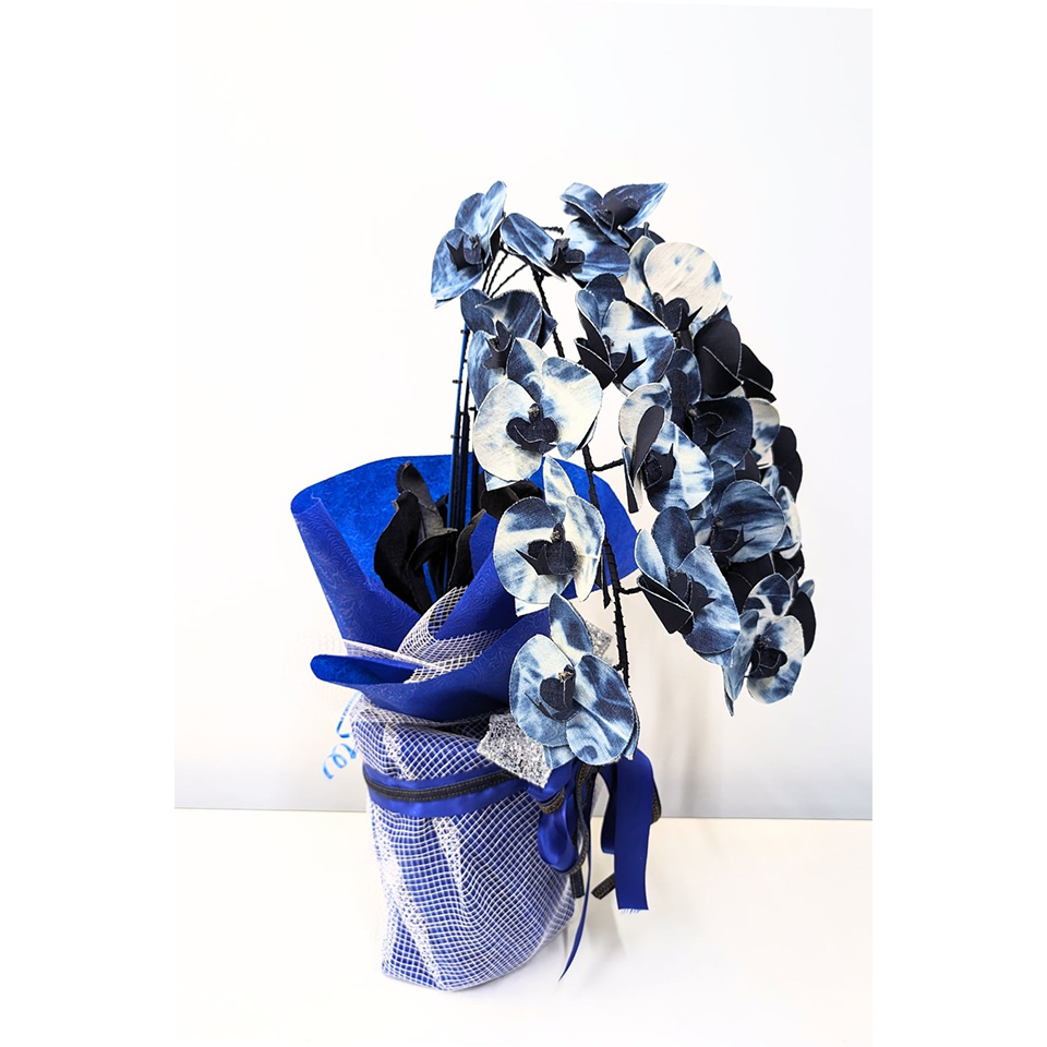 岡山県【デニム胡蝶蘭】 -藍- 3本立ち | 飛鳥クルーズ オンライン