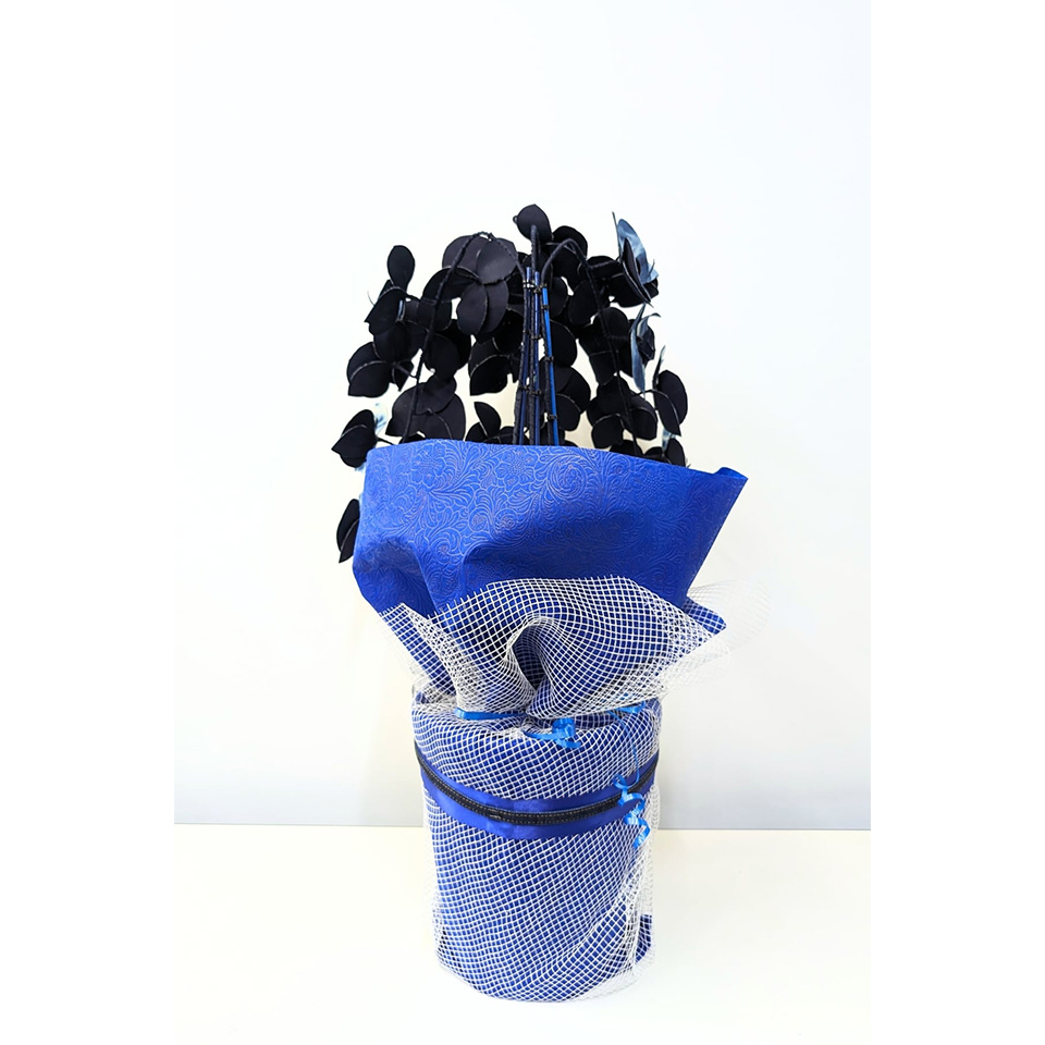 岡山県【デニム胡蝶蘭】 -藍- 3本立ち | 飛鳥クルーズ オンライン