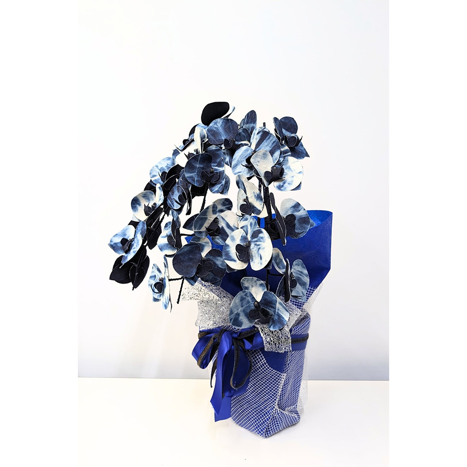 岡山県【デニム胡蝶蘭】 -藍- 3本立ち | 飛鳥クルーズ オンライン