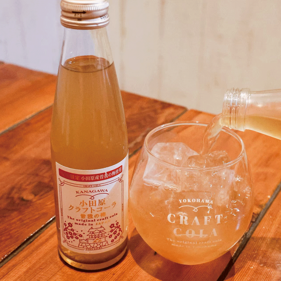 神奈川県 小田原クラフトコーラ梅炭酸飲料 24本入り | 飛鳥クルーズ