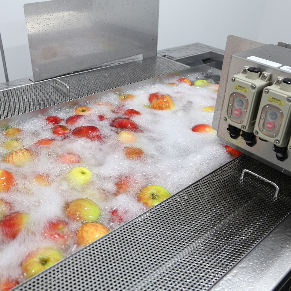 青森県 林檎けんぴ(2袋セット) | 飛鳥クルーズ オンラインショップ【公式】