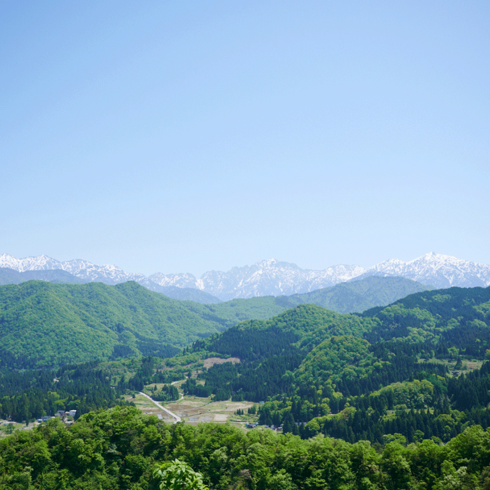 富山県 アロマミスト（とやまの風） | 飛鳥クルーズ オンライン